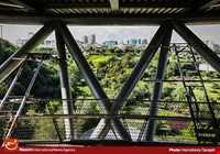 Tabiat (Nature) Bridge