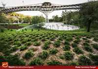 Tabiat (Nature) Bridge