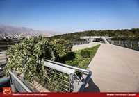 Tabiat (Nature) Bridge