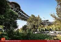 Tabiat (Nature) Bridge