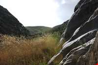 Haft hooz natural garden pond