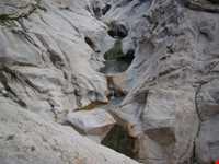 Haft hooz natural garden pond