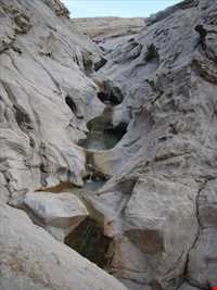 Haft hooz natural garden pond