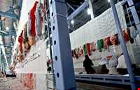 قالی نیشابور