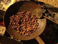 مراسم قهوه خوری