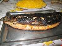Tanouri Sabour Fish