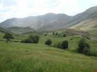 جنگل میرآباد