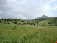 جنگل میرآباد