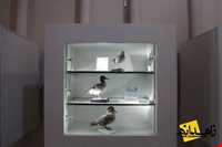 موزه جنوب شرق