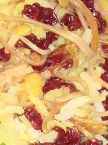 مانی پلو دامغانی