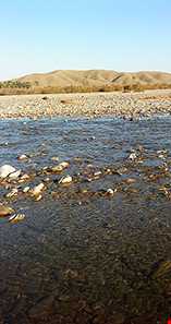 روستای دامن