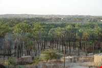 روستای دامن