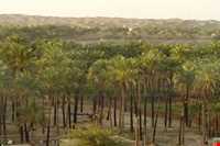 روستای دامن