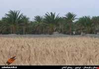 Abadan Village