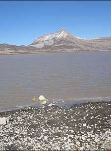 دریاچه ارژن