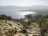 دریاچه ارژن