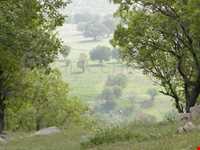 دریاچه ارژن