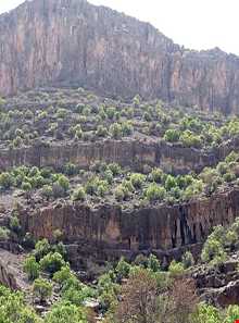 منطقه شکار ممنوع کوه سیاه