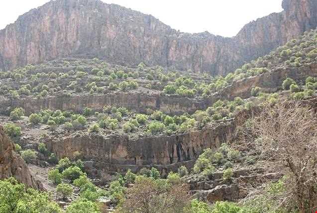 Koh siah Protected Area