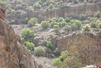 Koh siah Protected Area