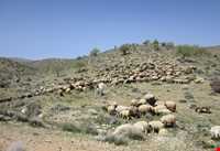 Koh siah Protected Area