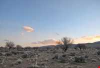 Koh siah Protected Area