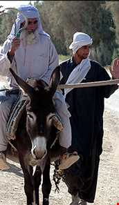 روستای قلعه نو