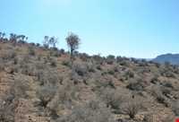 Koh Gorm Protected area