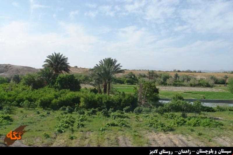 روستای لادیز