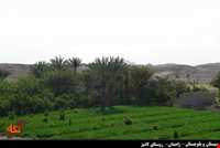 روستای لادیز