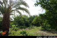 روستای لادیز