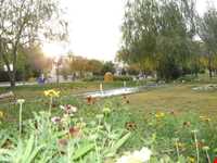 Kohsar Park of Dareh Namin