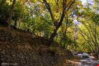 Hesar Village And waterfall