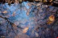 Hesar Village And waterfall