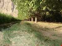 Hesar Village And waterfall