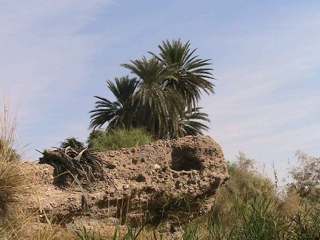 Hormood Protecyed Area