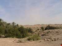 Hormood Protecyed Area