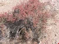 Hormood Protecyed Area