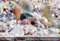 Hormood Protecyed Area