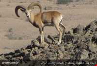 Hormood Protecyed Area