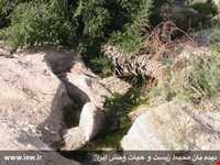 Hormood Protecyed Area