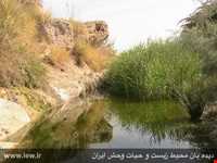 Hormood Protecyed Area