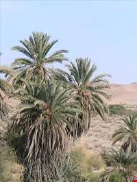 Hormood Protecyed Area