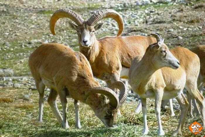 Basiran Protected Area