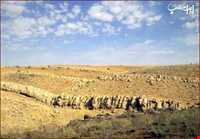 Basiran Protected Area