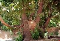 Basiran Protected Area