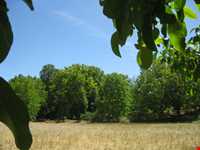 Basiran Protected Area