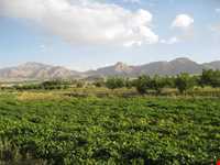 Basiran Protected Area