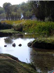 چشمه بالنگان حاجی آباد