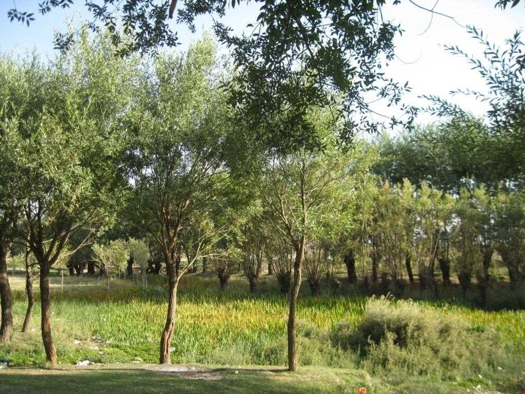 چشمه بالنگان حاجی آباد